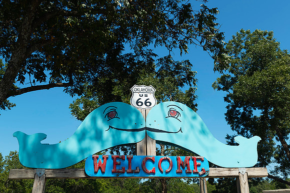 Blue Whale Welcome