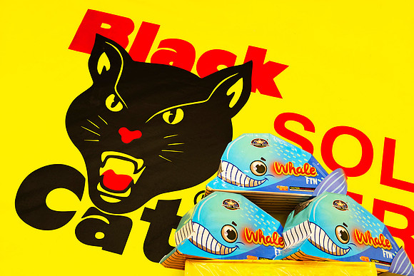 Black Cat and Blue Whale