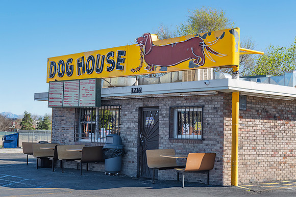 Dog House