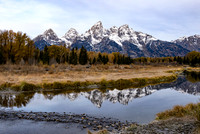 Trail to Schwabachers Landing / Ed.25