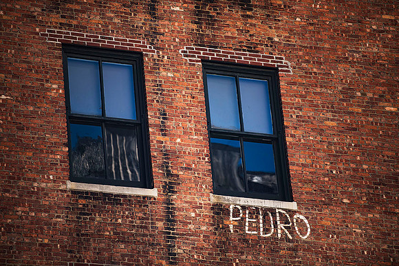 Pedro/ Ed. 25