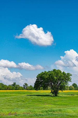 Near Girard
