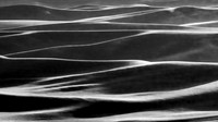 Gallery: Photography Awards