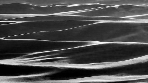 Gallery: Photography Awards