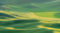 Gallery: The Palouse
