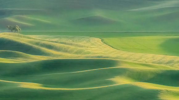Gallery: The Palouse