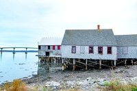 Gallery:  Coastal