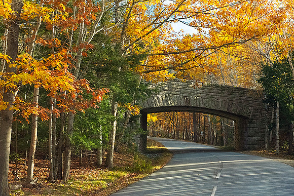 Acadia Road / Ed. 25