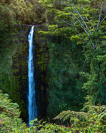 Akaka Falls / Ed. 25