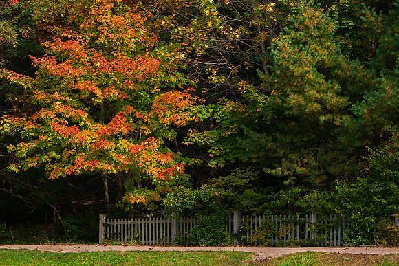 Little Long Pond Parkway