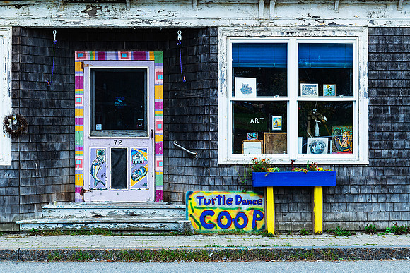 Turtle Dance Coop / Ed. 25