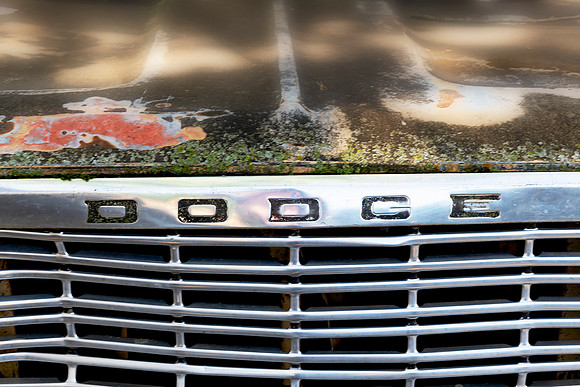 Dodge
