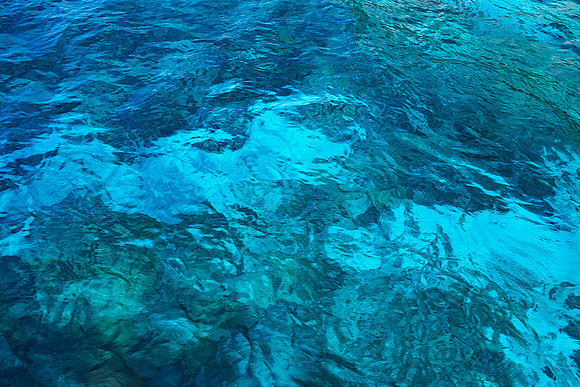 Ocean Phoenix / Ed. 25