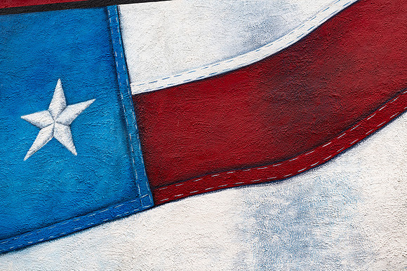 Gold Star Boys Flag