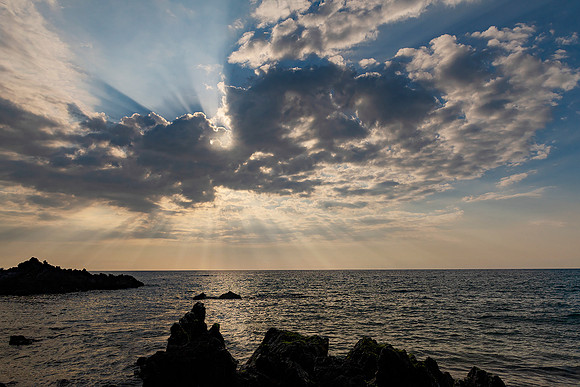 Afternoon Rays